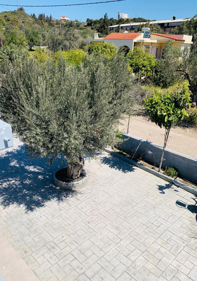 Secret Edem Villa Kolymbia Buitenkant foto